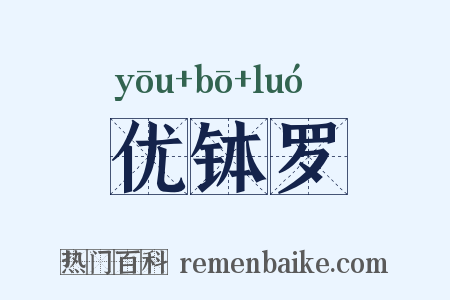 优钵罗是什么意思的图片